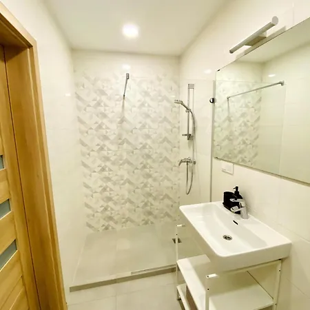 In Centre - With Balcony 公寓 维尔纽斯